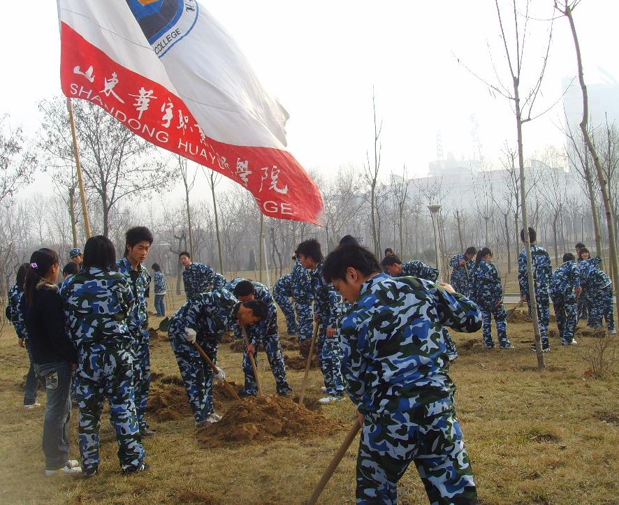 义务植树活动现场